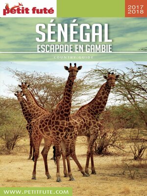 cover image of SÉNÉGAL 2017/2018 Petit Futé